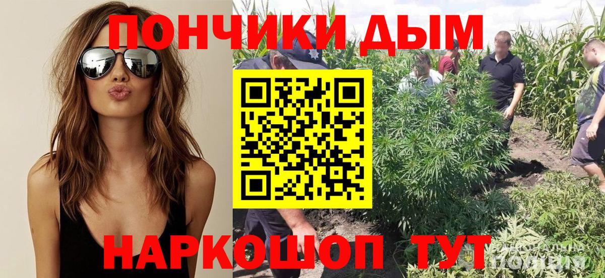 Каннабис SATIVA & INDICA  Вход с VPN  Сызрань  Шишки марихуана ГИДРОПОН 